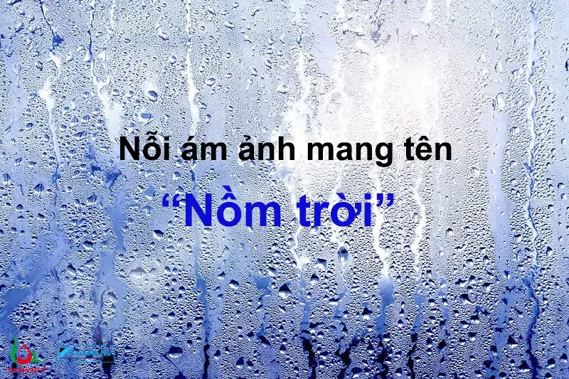 Cách sử dụng điều hòa khi trời nồm
