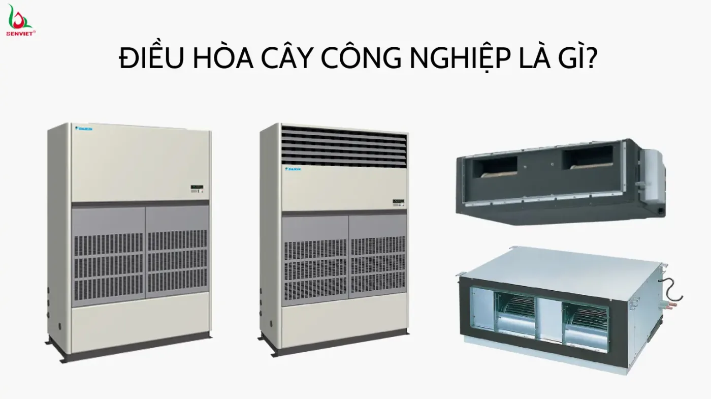dieu-hoa-cay-cong-nghiep-la-gi
