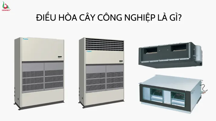 dieu-hoa-cay-cong-nghiep-la-gi